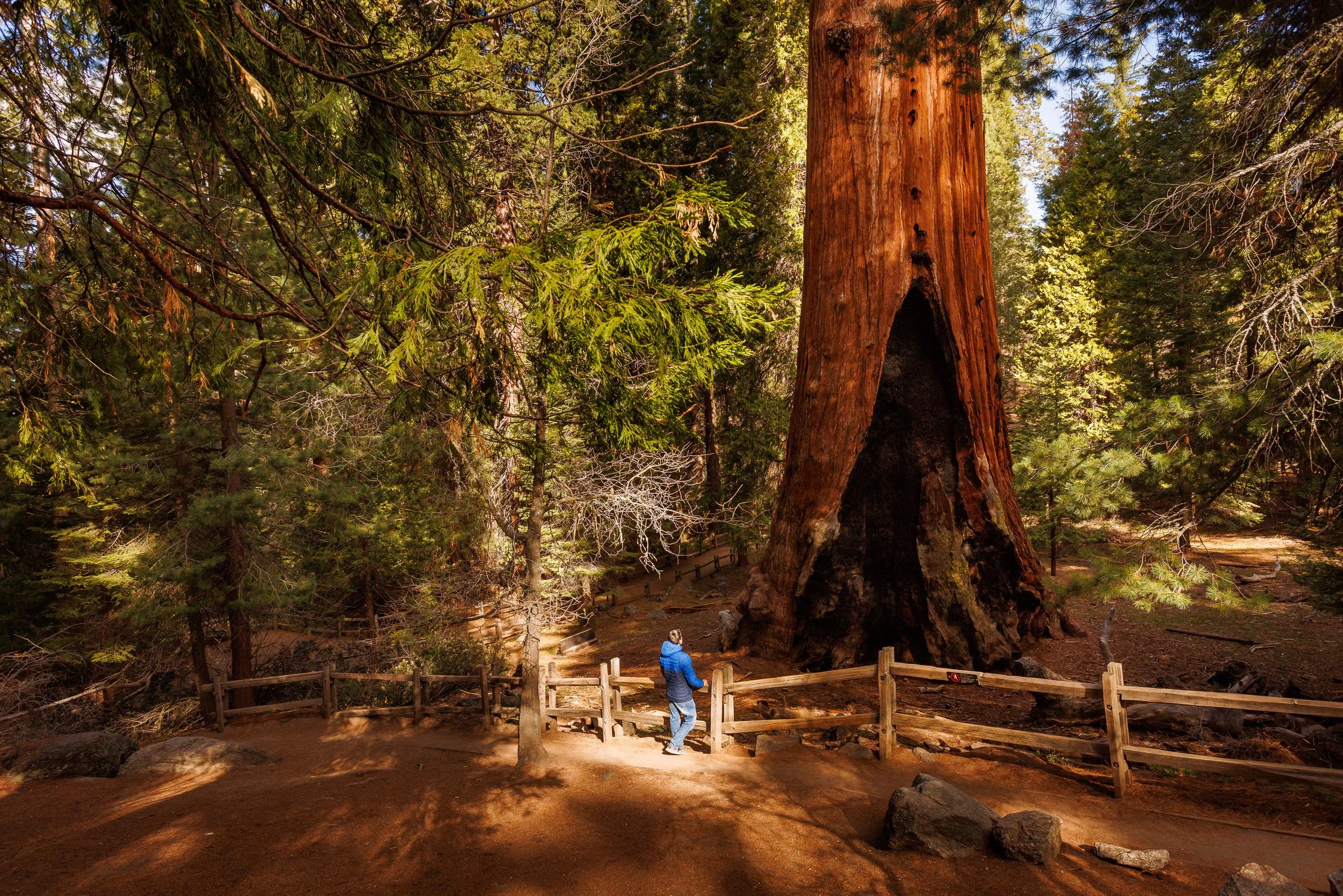 Cedar Grove Best Hikes In Sequoia And Kings Canyon Sequoia Kings