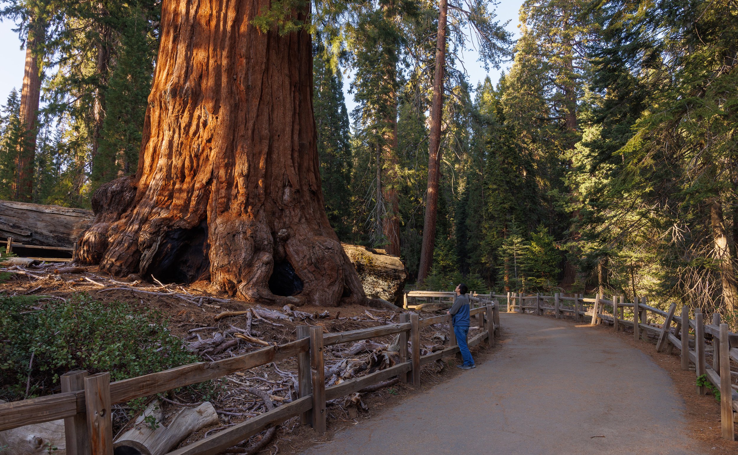 General Grant Trail Near Sunset Kings Canyon National Park CA Majestic Mountain Loop credit Daniel Chui May 2022 (2).jpg