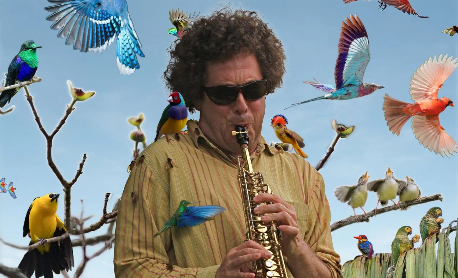   Lost Steps: Live Performance by Interspecies Musician David Rothenberg  