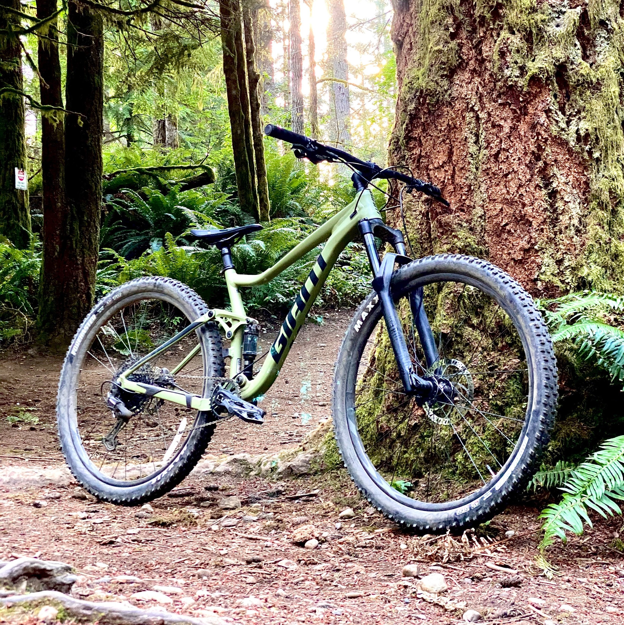 Trail dual 2024 suspension mountain bike