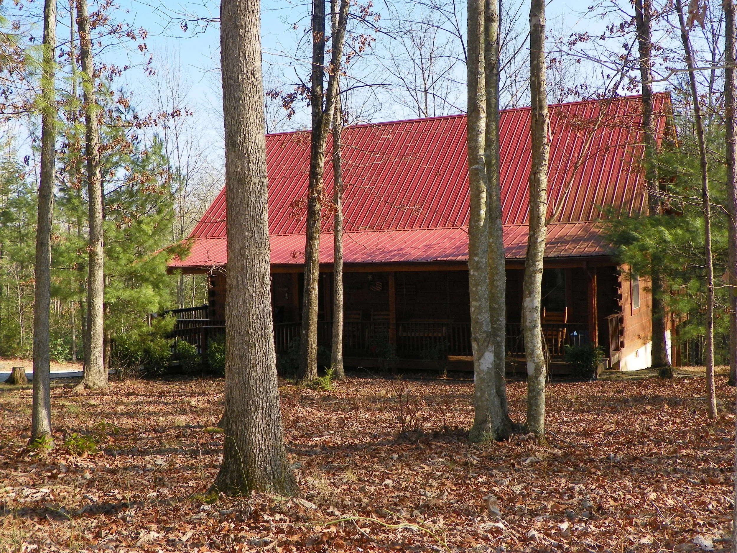 Laurel Fork cabin tucked into the forest