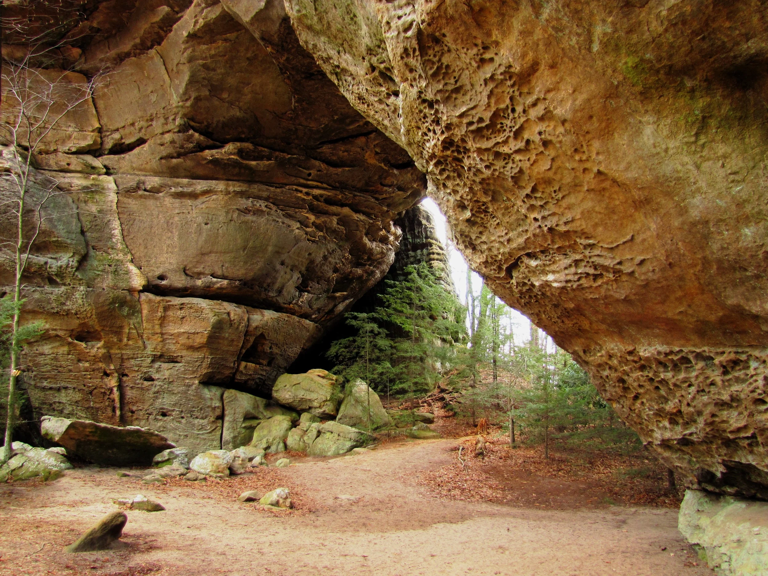 Big South Fork Centennial Challenge -- 100 Miles for 100 Years