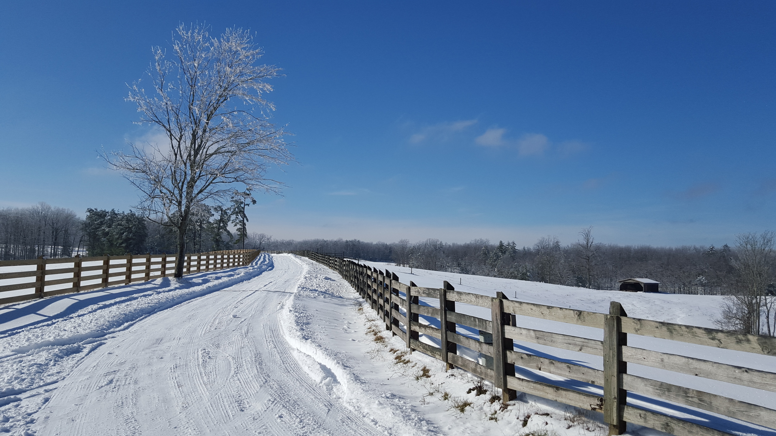 Road leading to the Laurel Fork Rustic Retreat