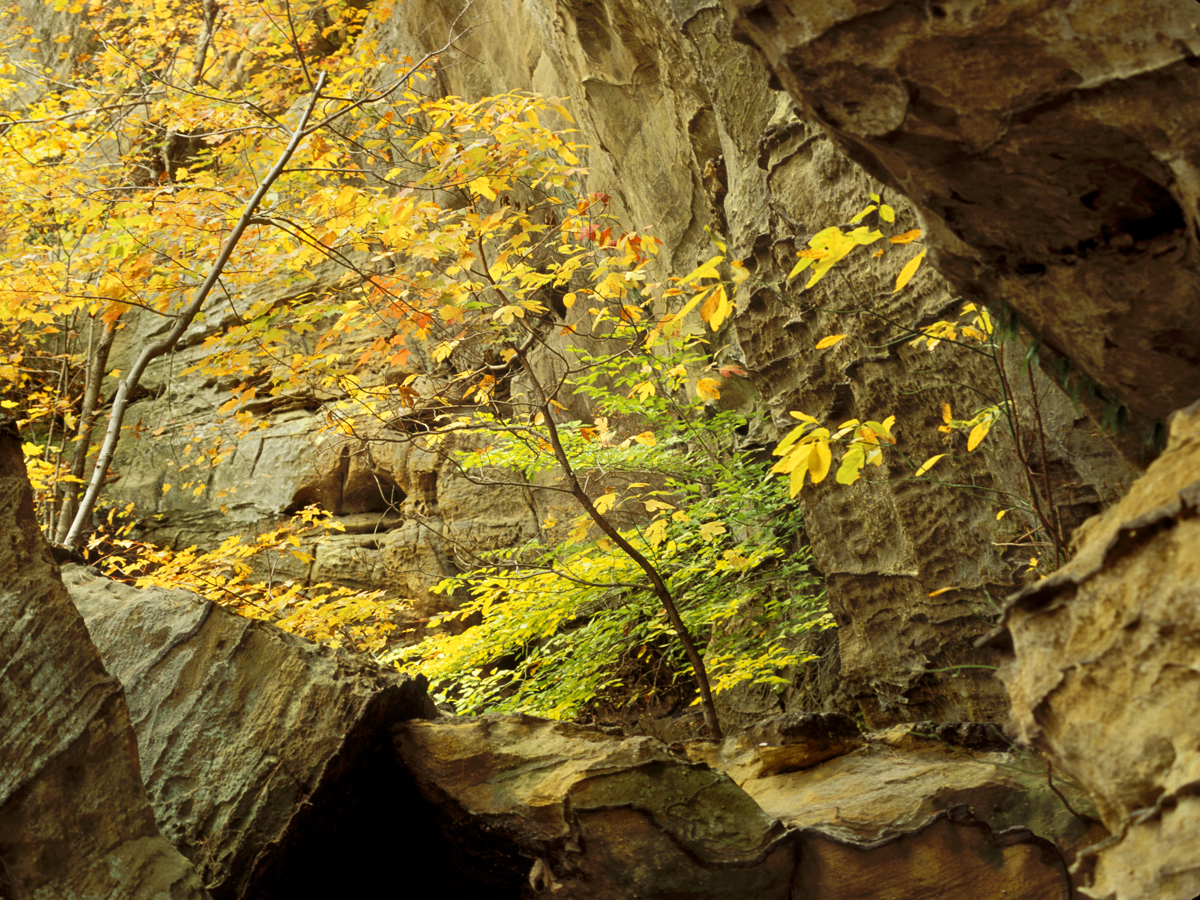 looking through Twin Arches at Big South Fork