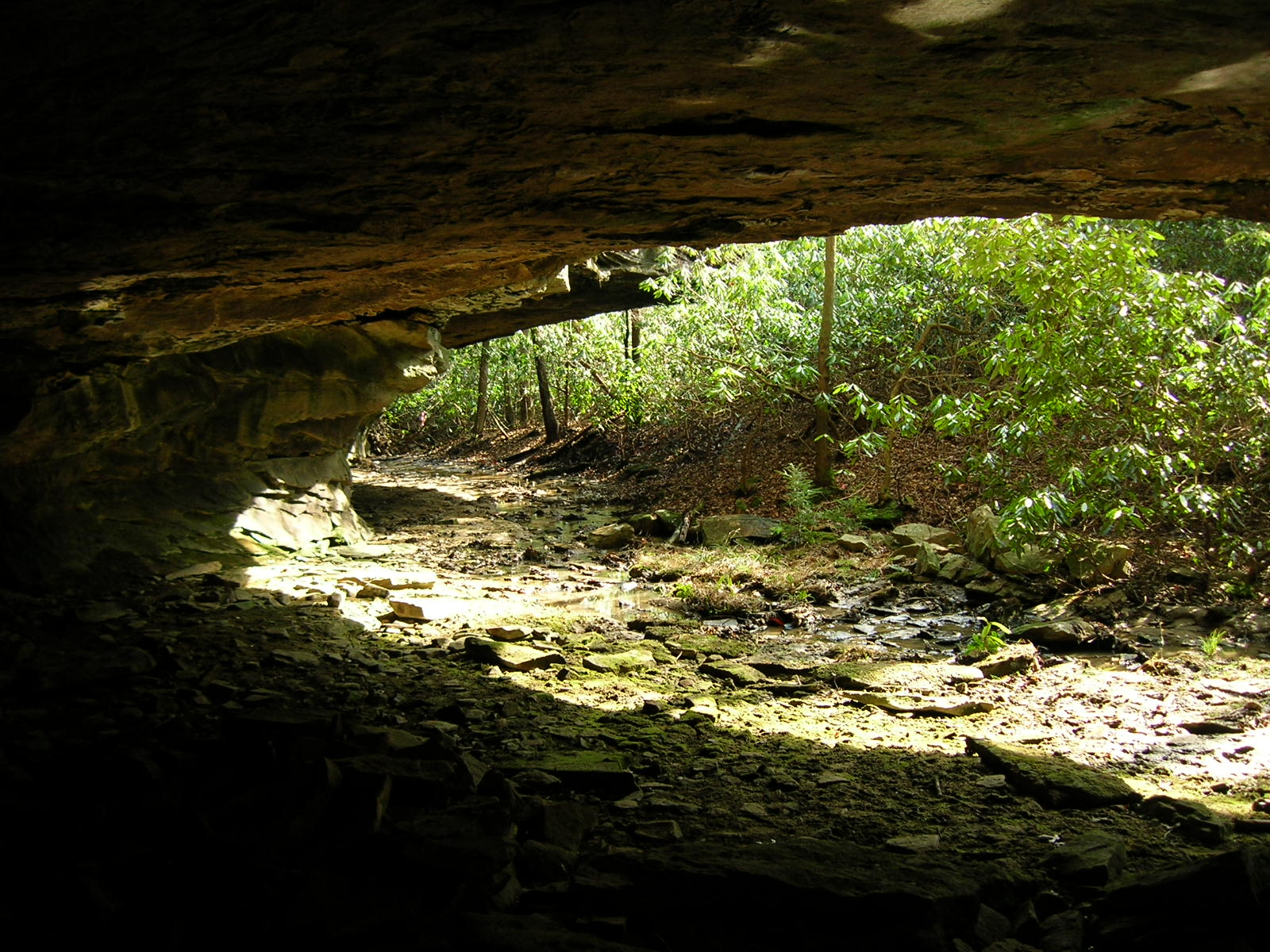 Misty Cave and Misty Creek