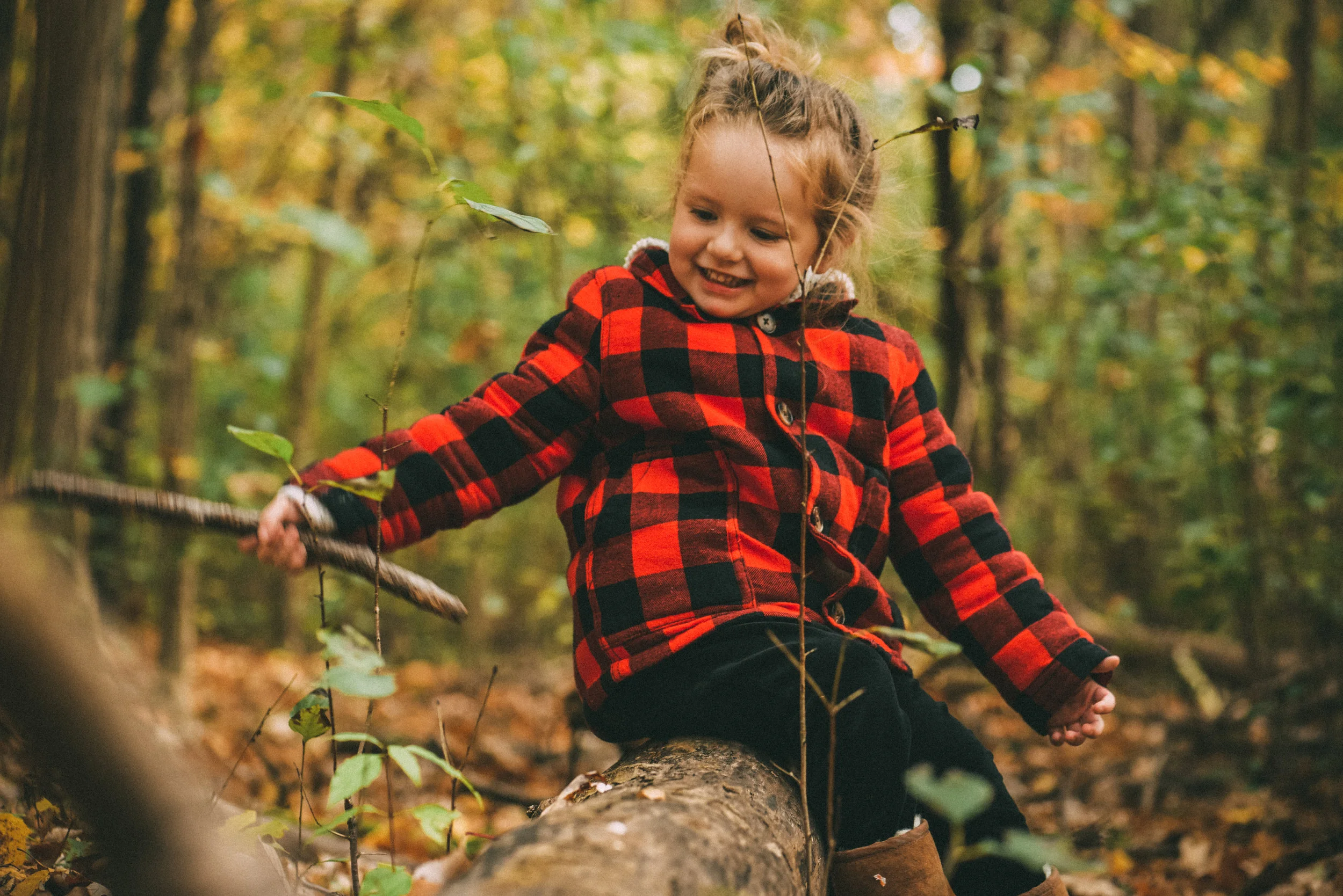 4 Kid-Friendly Activities at the Big South Fork
