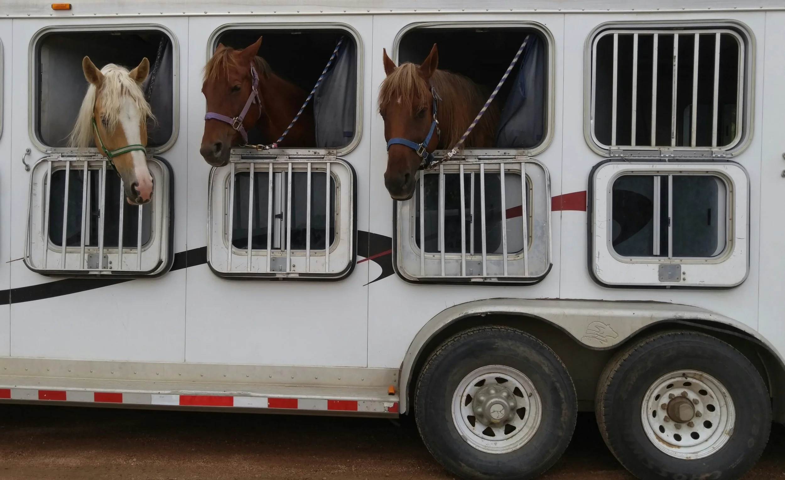 3 Best Horseback Riding Trails in Scott County