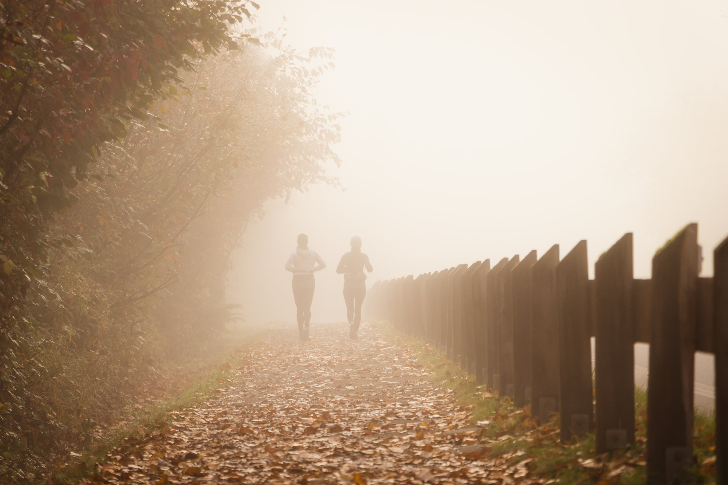 5 Fun Ways to Exercise in the Fall