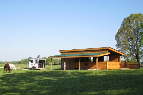 Horses+at+Barn+IMG_3904.jpg