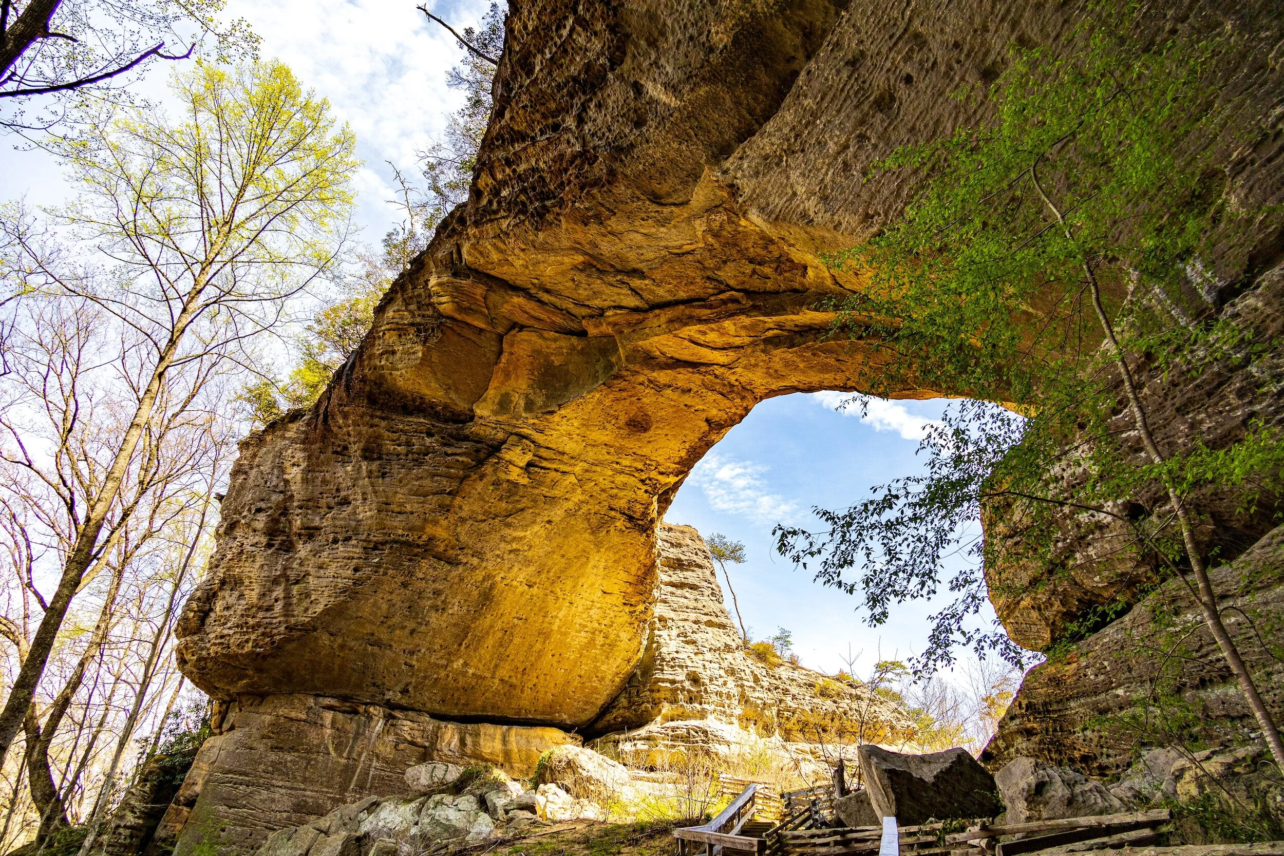 Exploring Kentucky's Gem: The Marvelous Daniel Boone National Forest