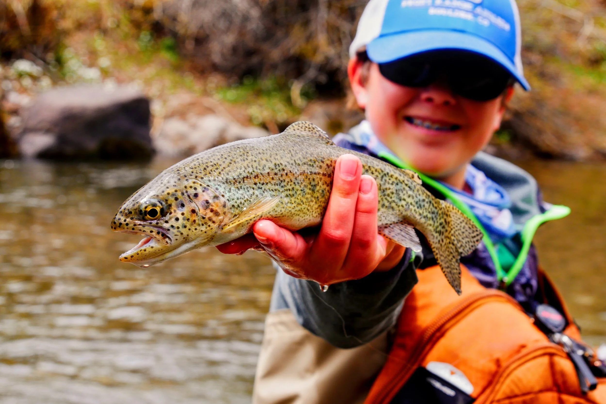 Reeling in Memories: Fishing Adventures at Laurel Fork Rustic Retreat