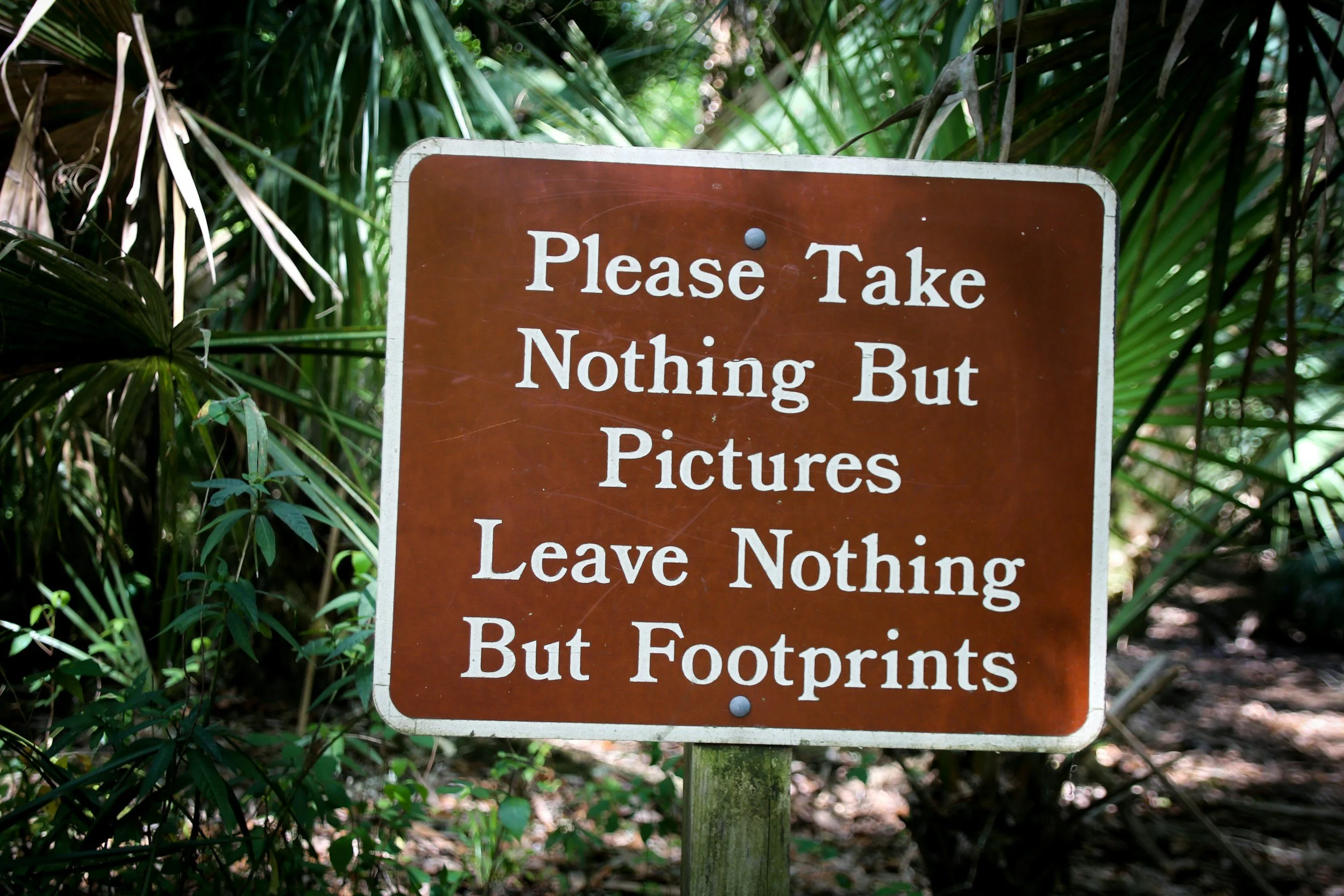 Preserving the Beauty: Leave No Trace at Laurel Fork Rustic Retreat