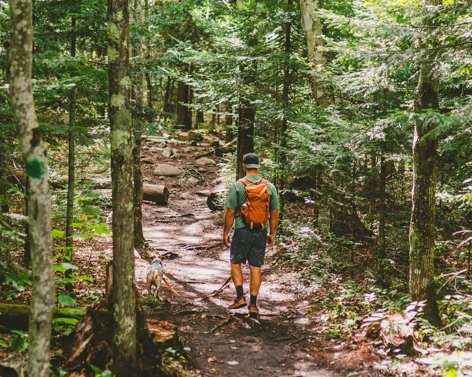 5 Ways to Embrace Spring Adventure in Big South Fork