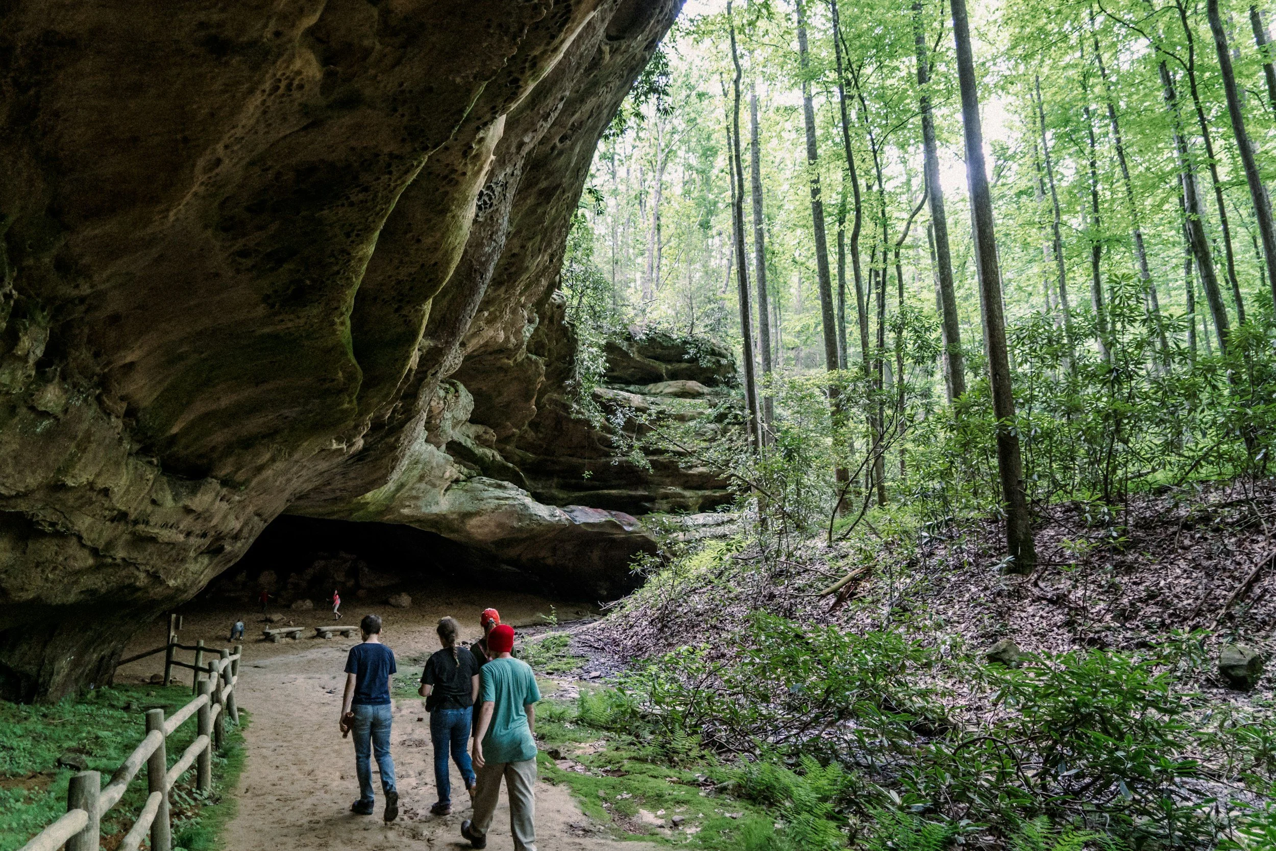 6 Reasons to Love Pickett State Park