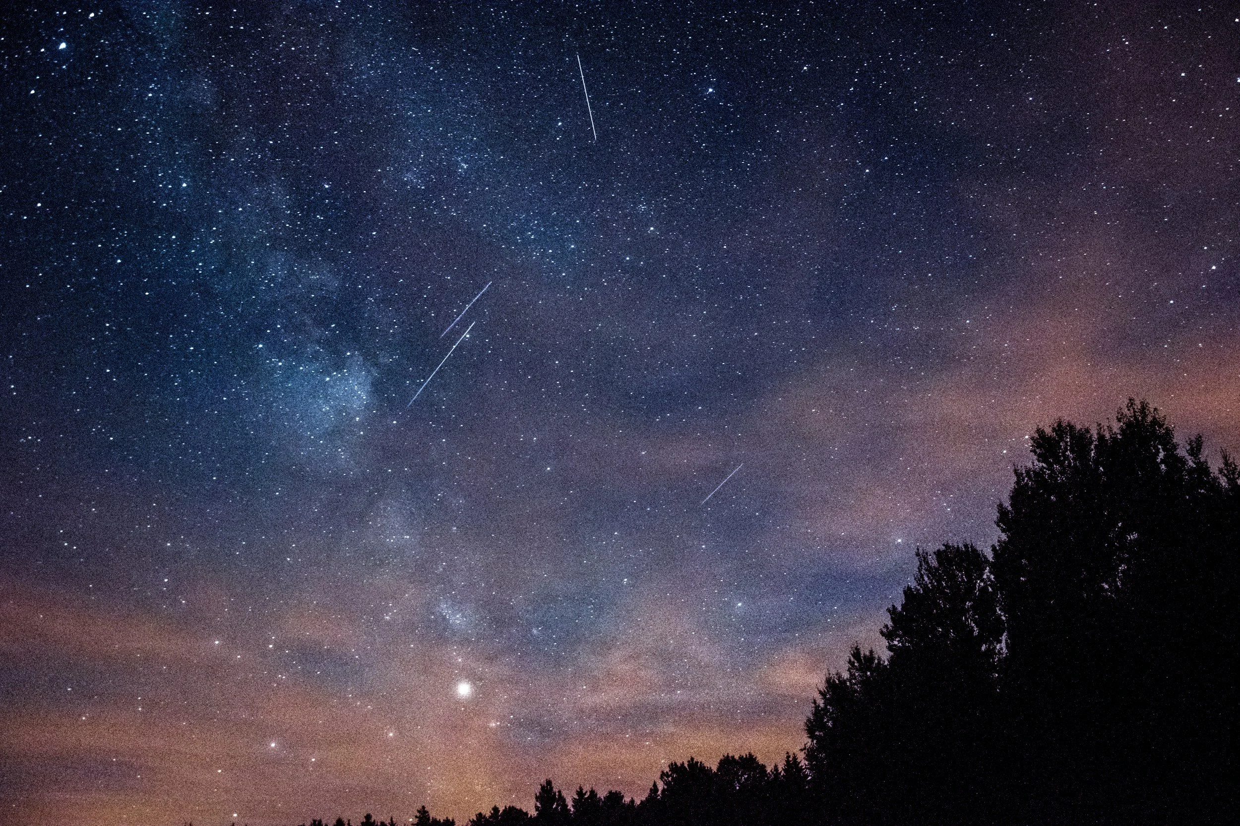 meteor shower above tree line