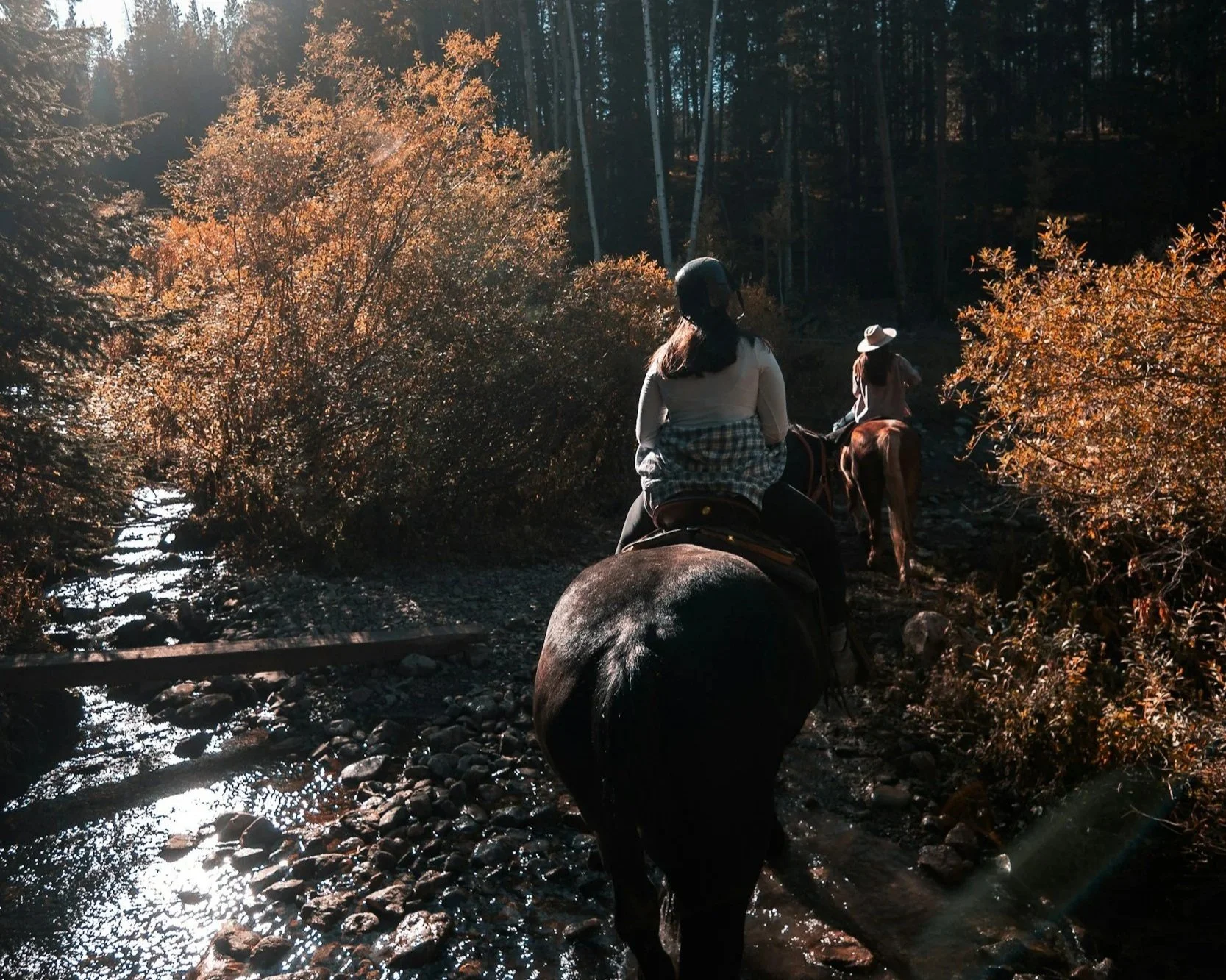 Horseback Riding Adventures in Big South Fork