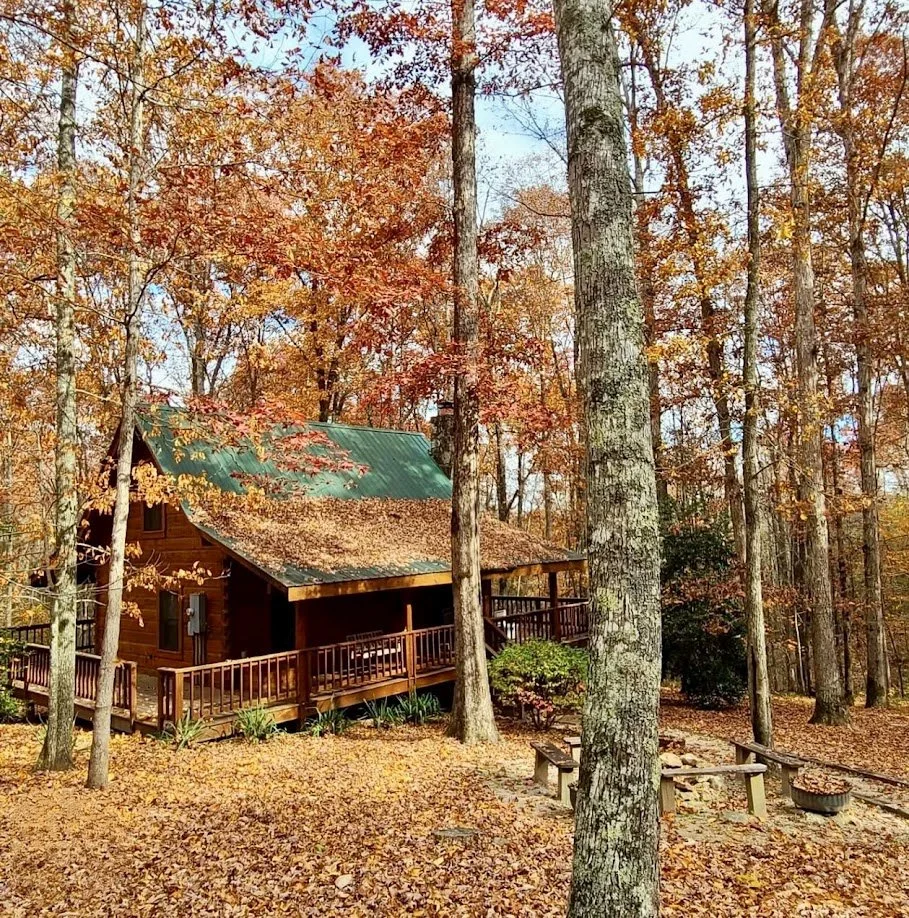  Fall foliage at Turkey Scratch cabin. 