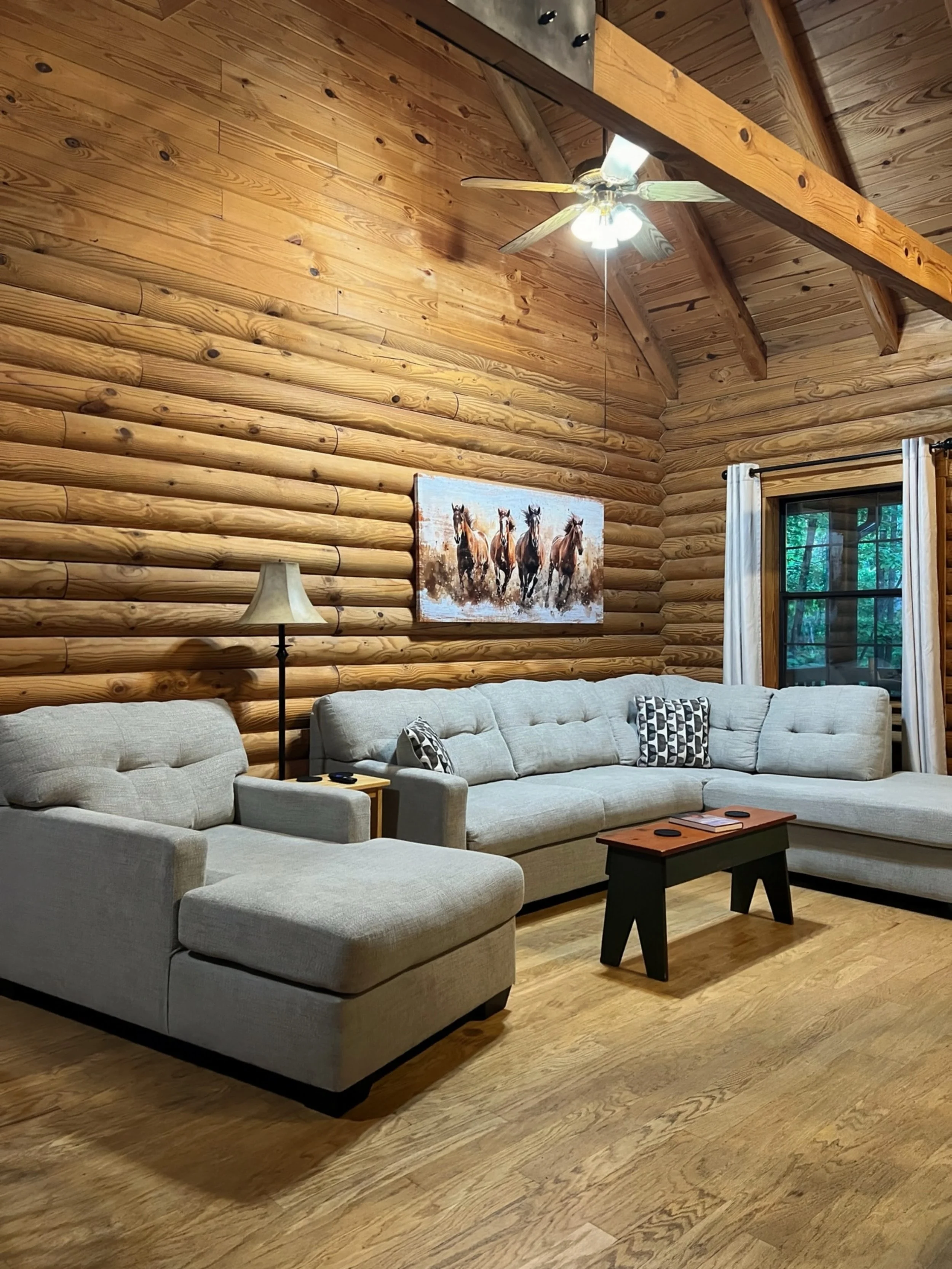  Laurel Place living room area  