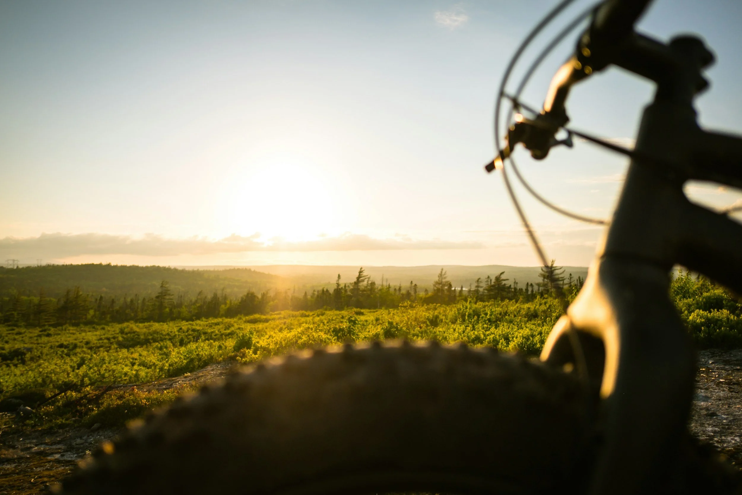 mountain bike with landscape in the distance