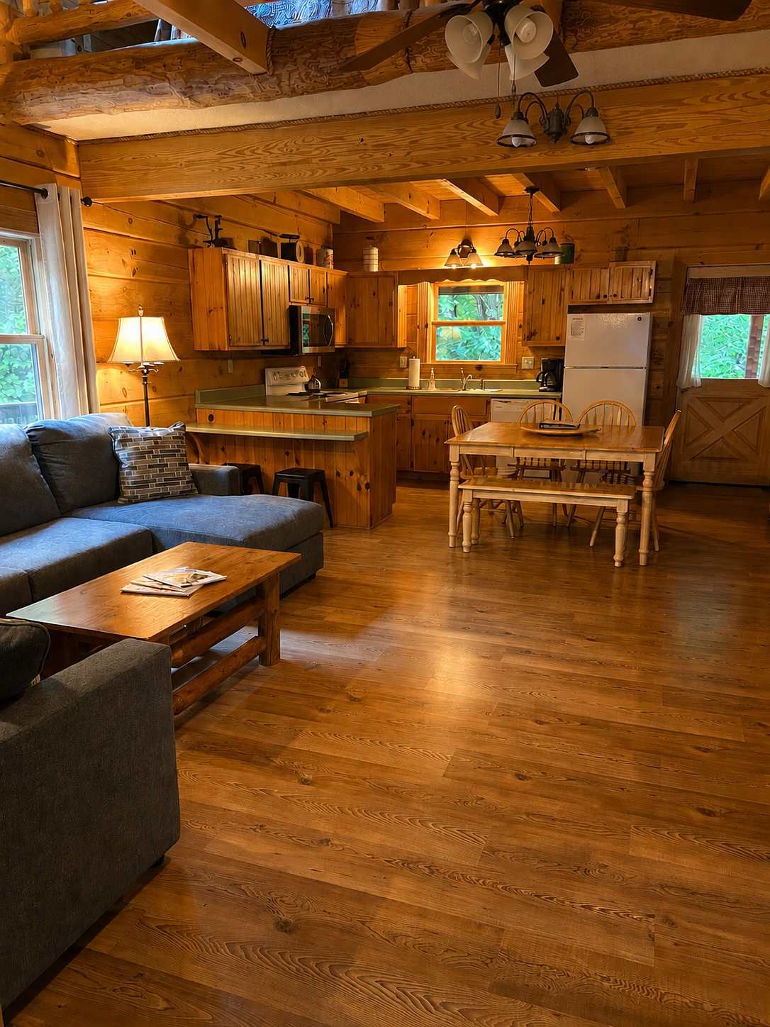  Living room at Misty Morning cabin 