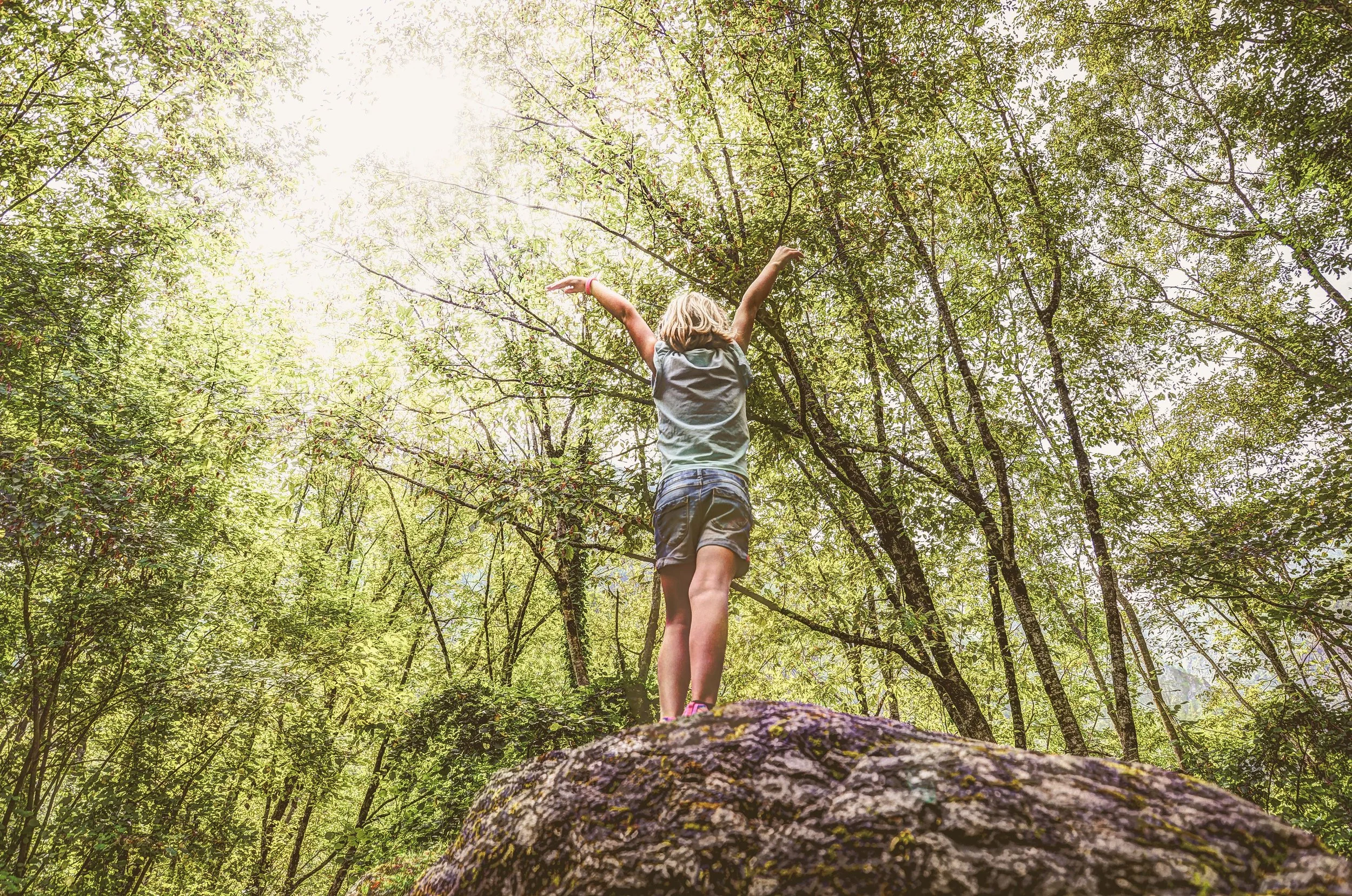 The Homeschool Family's Guide to Nature-Based Learning at Big South Fork