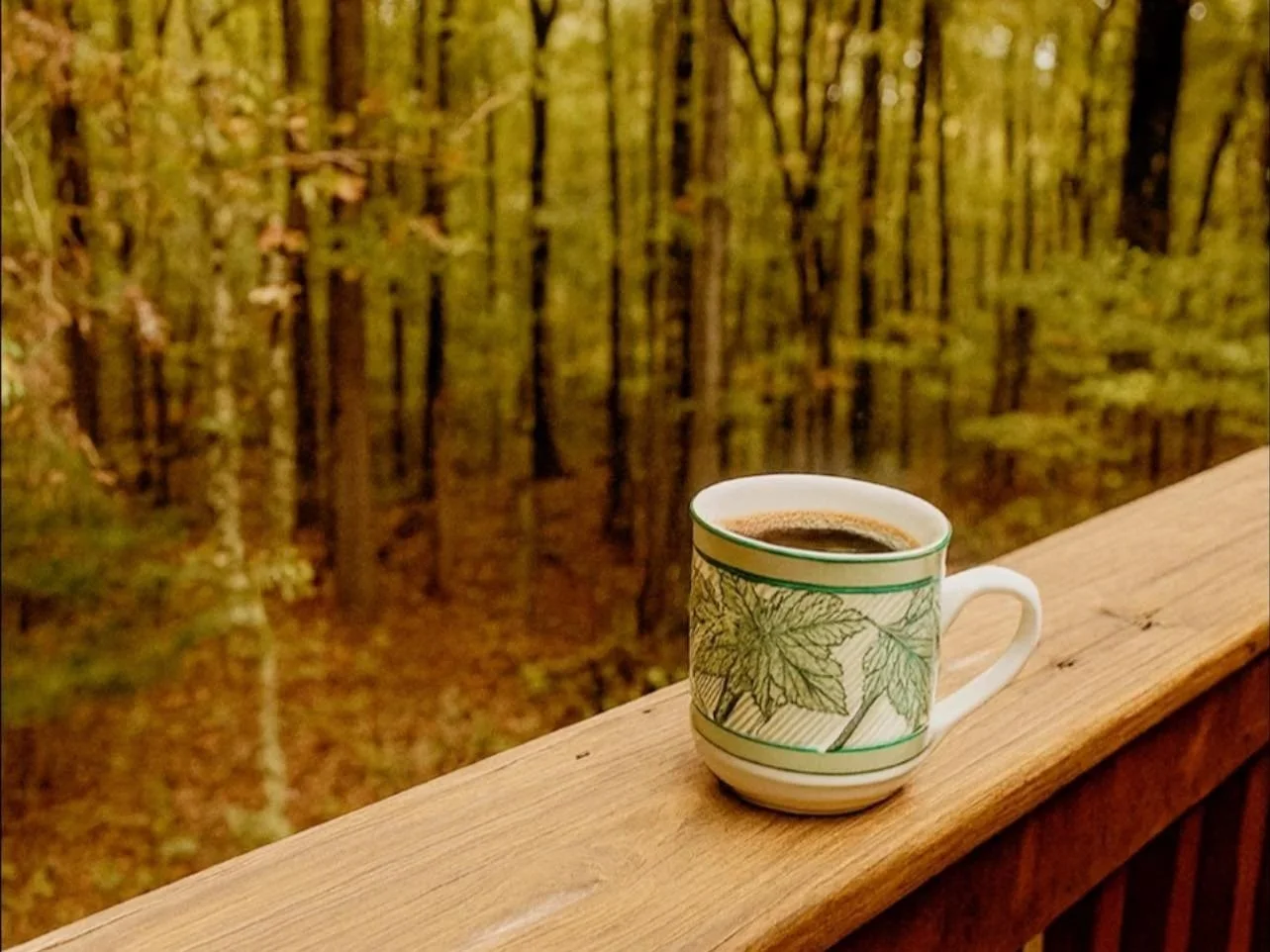 hot cup of coffee on a porch overlooking the fall and winter trees at Laurel Fork Rustic Retreat