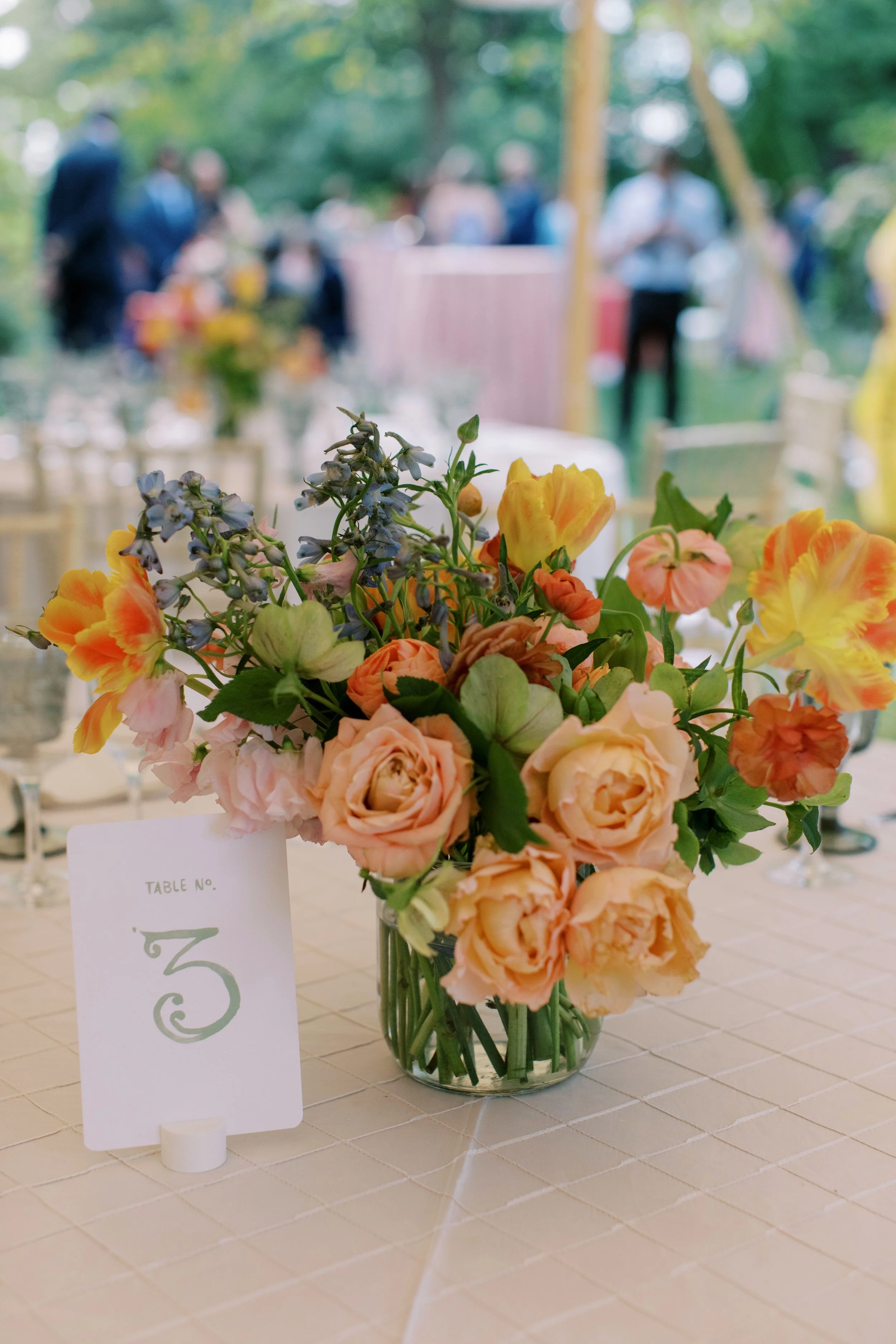 AMELIAJOHNSON_20250510_Julia&Rahul_Wedding_DC-845.jpeg