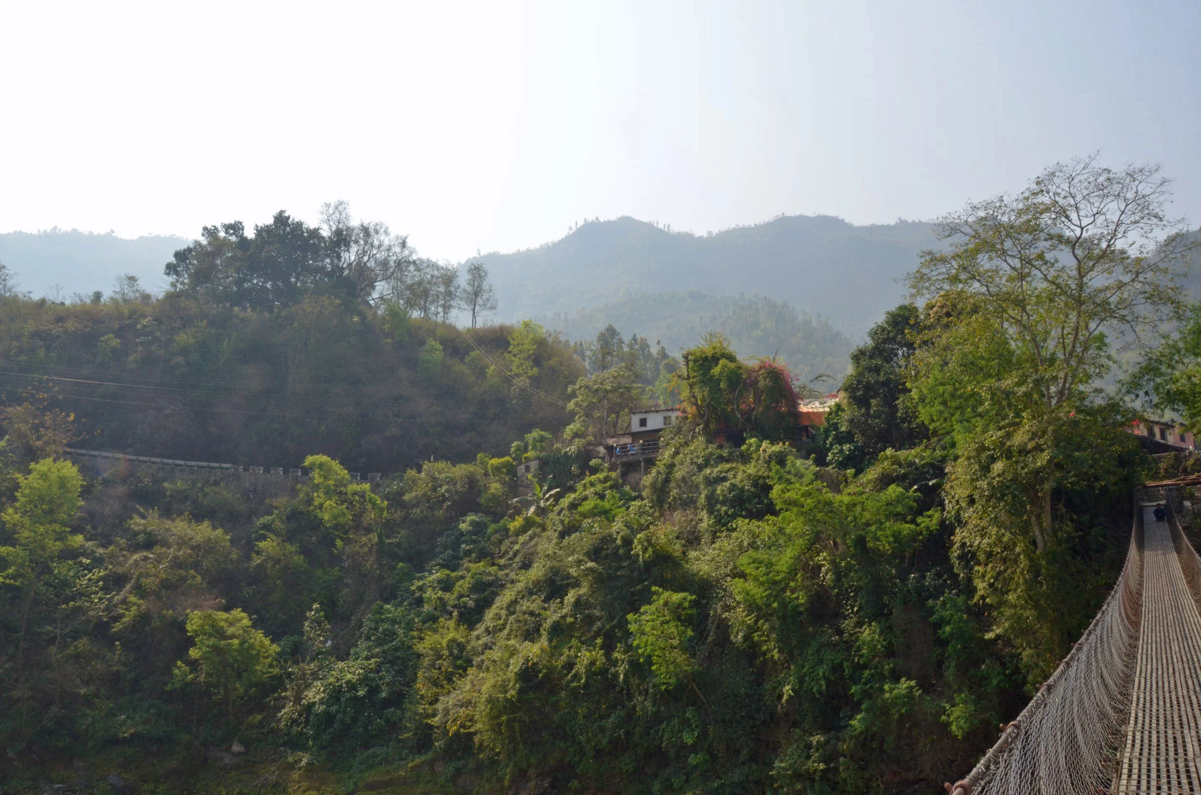 mck-3-21-15-jungle-suspension-bridgeDSC_1134.jpg