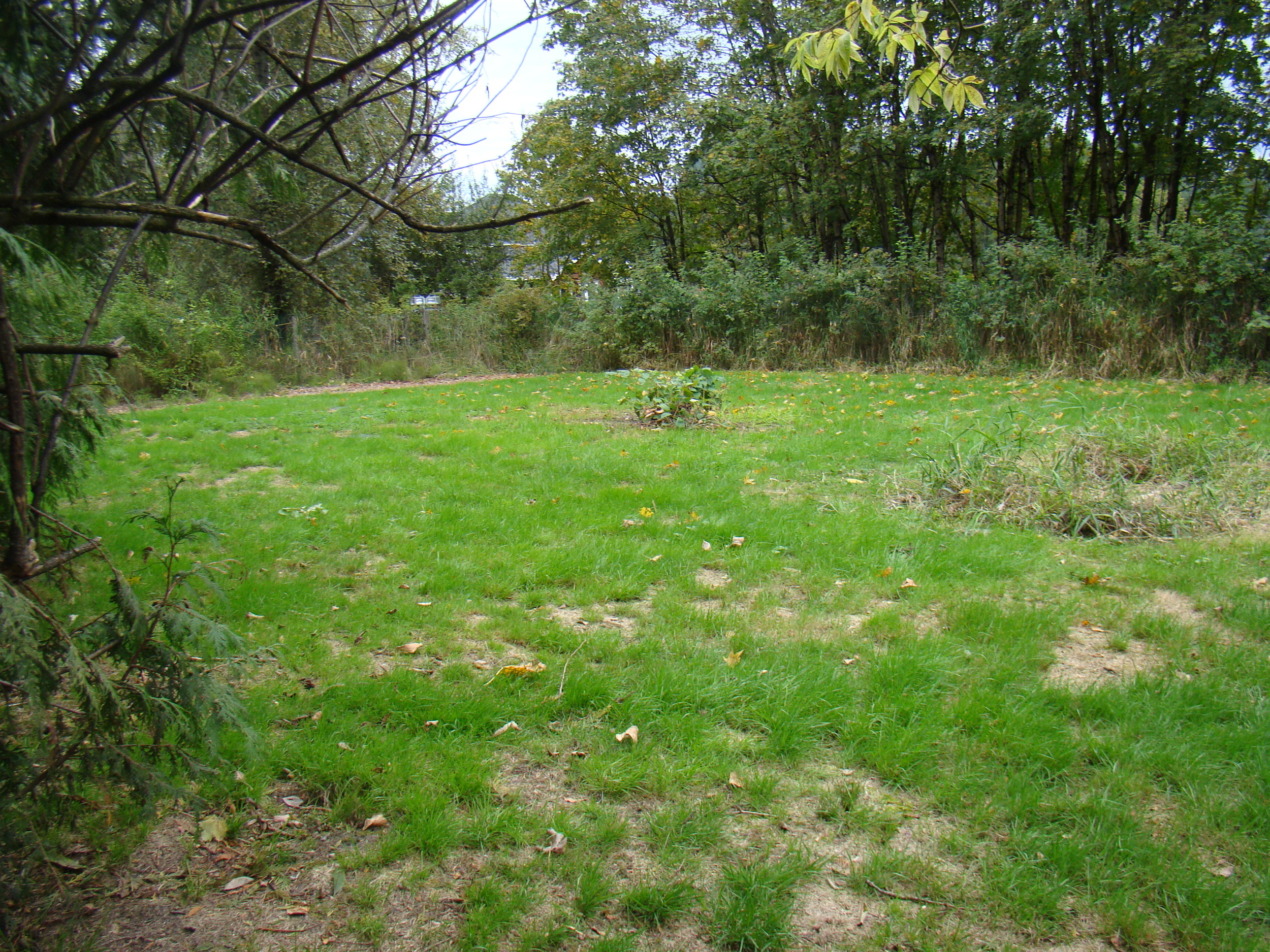 DSC04351.JPG