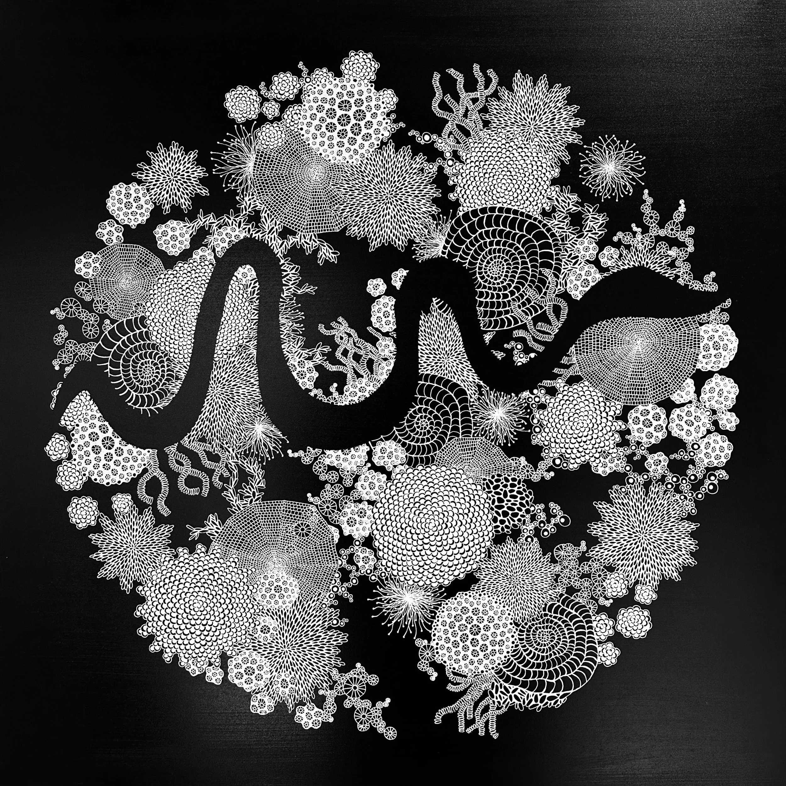 midnight in the garden