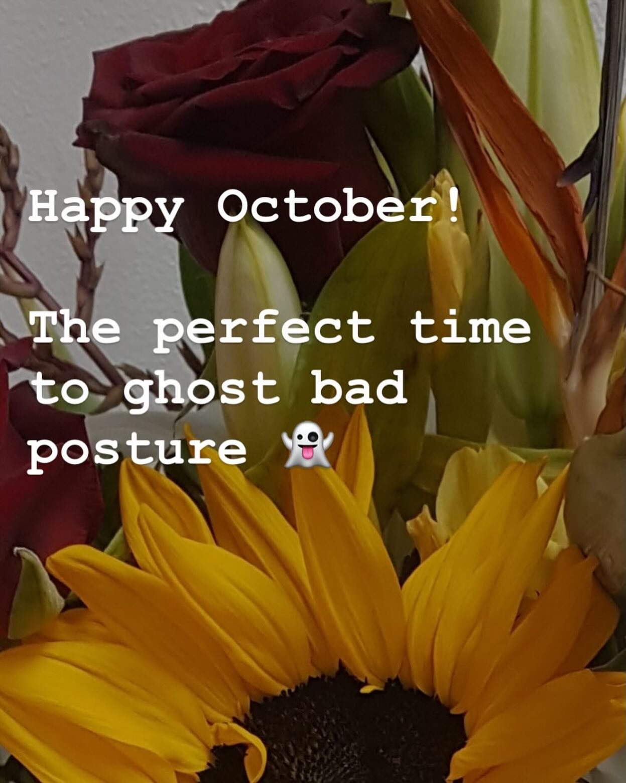 October: the only time it&rsquo;s socially acceptable to curl up&hellip; on the reformer instead of the couch 🎃🍂. Ghost your bad posture, not your workouts. 

We can&rsquo;t wait to see you in studio! 🌻🤗