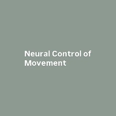 People always ask why I move so slowly and precisely. It&rsquo;s very intentional. I&rsquo;m thinking very specifically about what muscle I&rsquo;m trying to engage and if my alignment is correct(feet/knees/hips/spine/ neck), not just throwing my bod