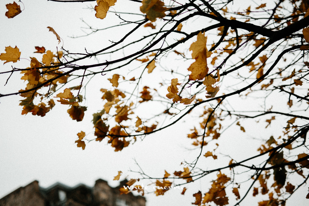 White Cherrie, Edinburgh, Natural, Wedding Photographer, Natasha & Gary previews-26.jpg