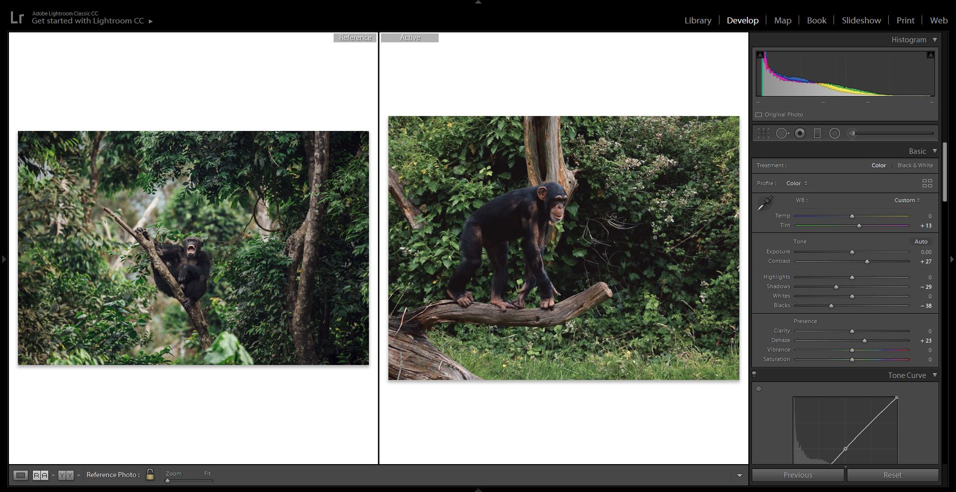 Credit: Left - Freya Dowson // Right - Richard Lloyd