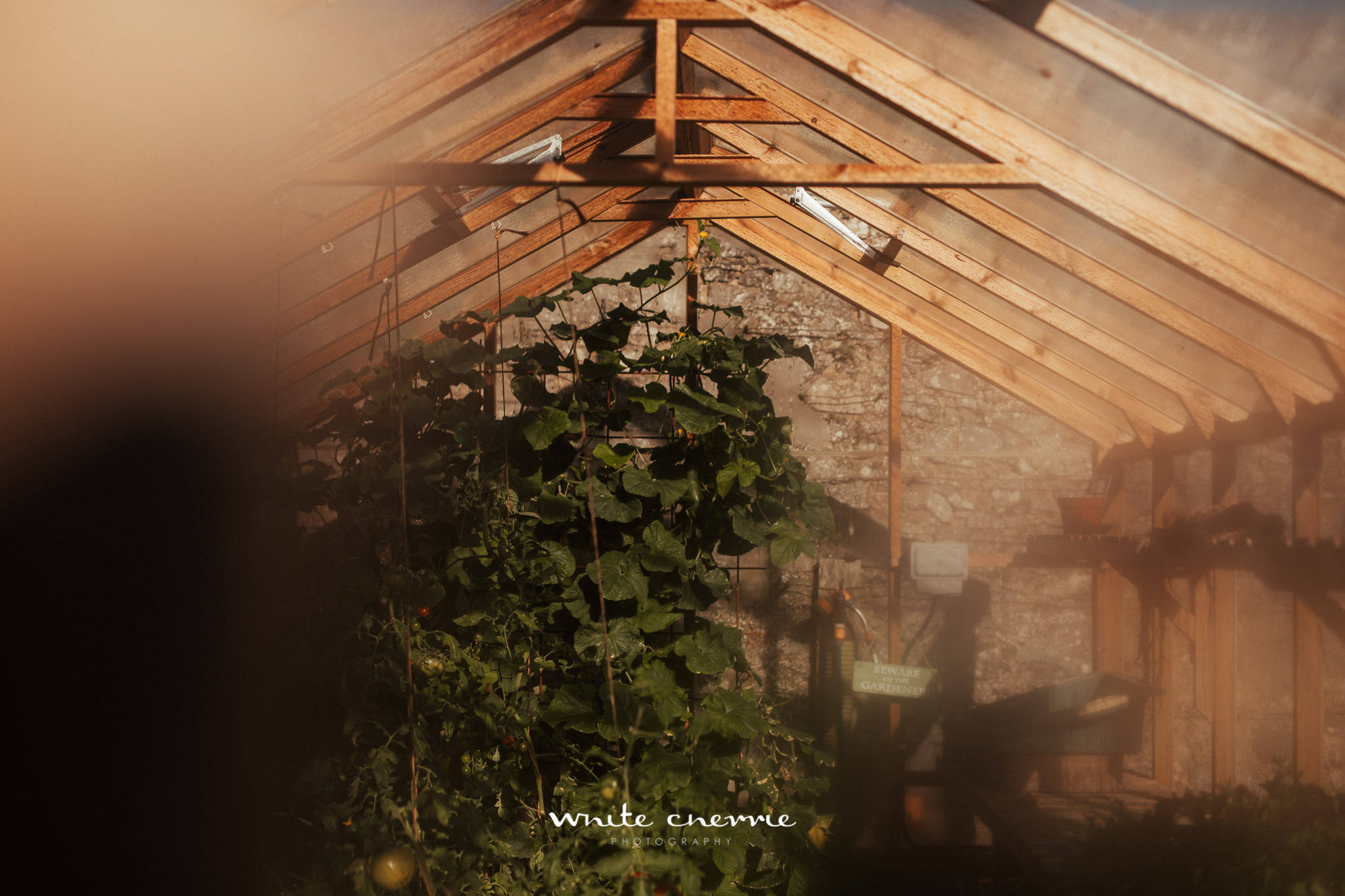 White_Cherrie-Heather_Peter_prev5.jpg