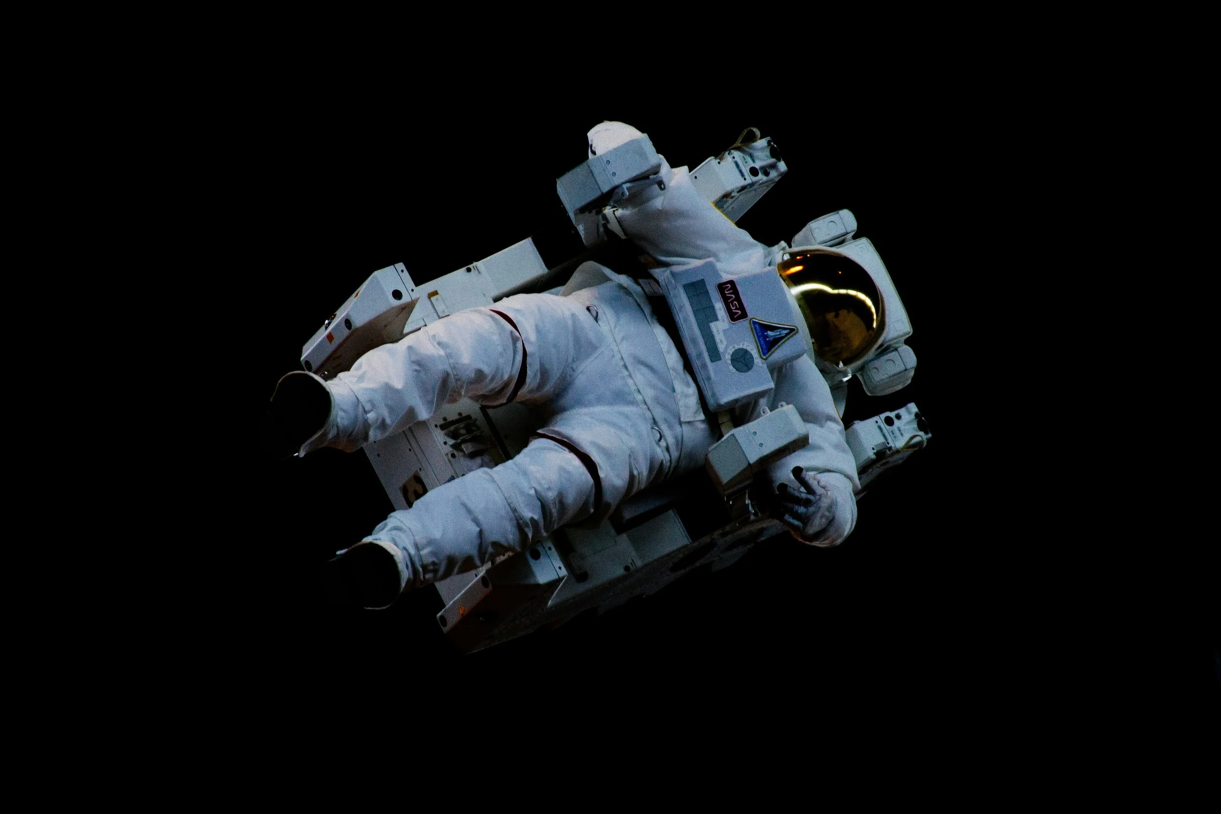 Sci-Fi Barks