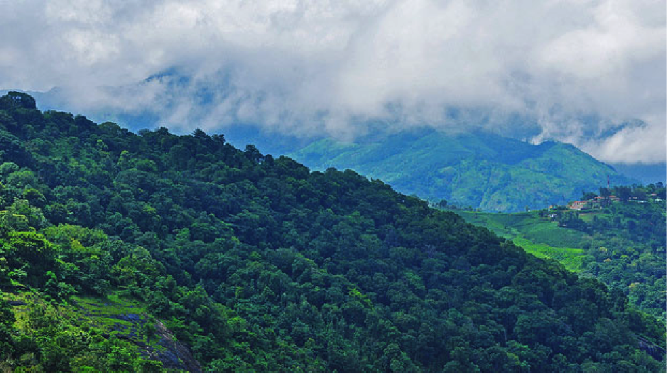 Guest Post: Have You Been To Magical Munnar?