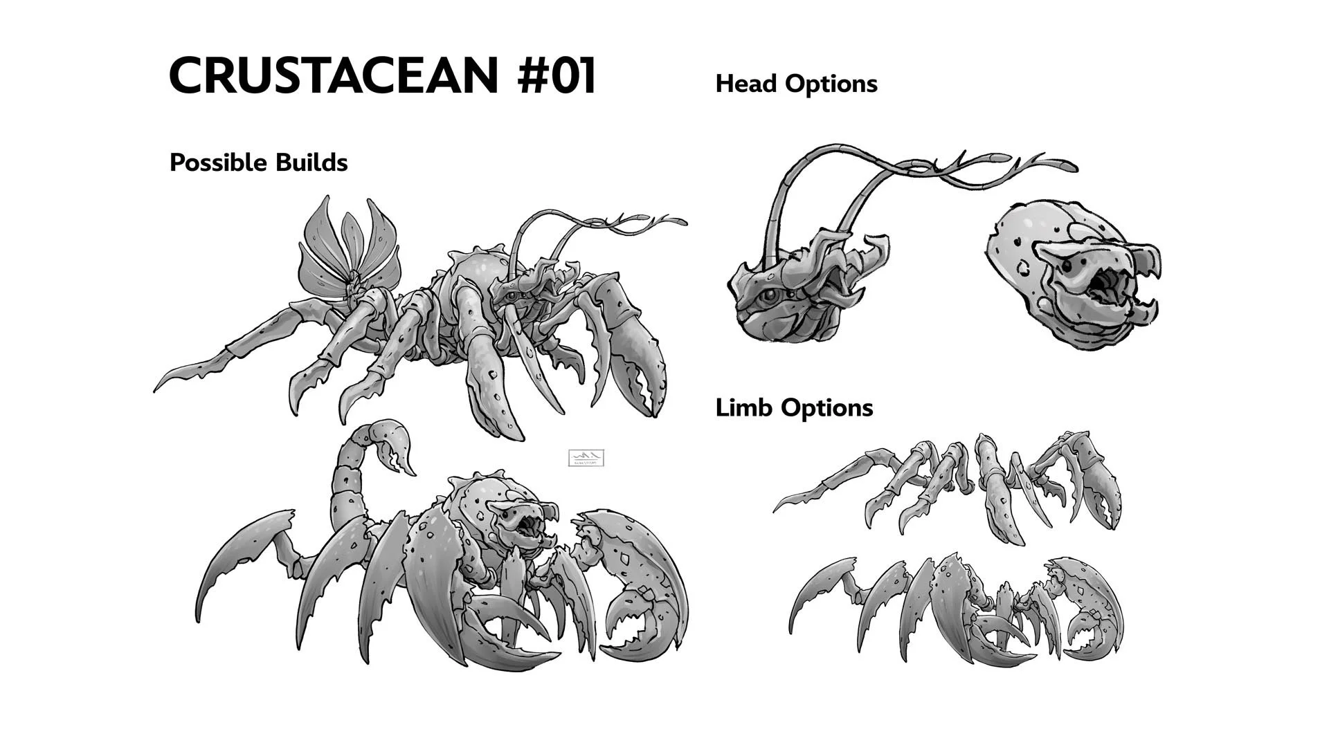 Crustacean #01_Layout_03.jpg