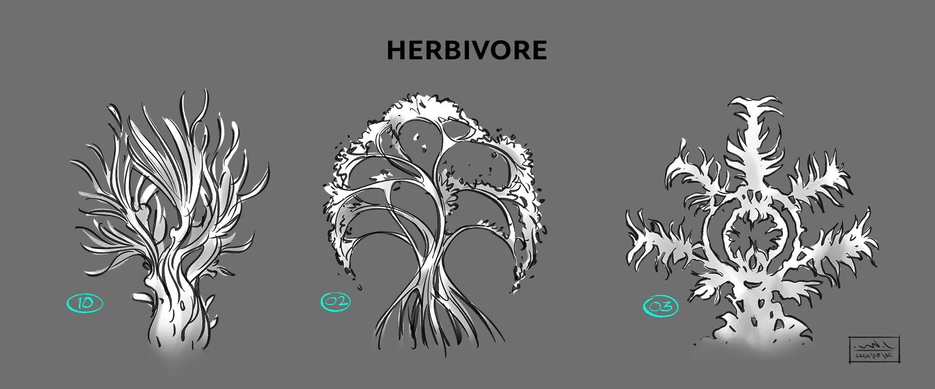 Herbivore_Presentation .jpg