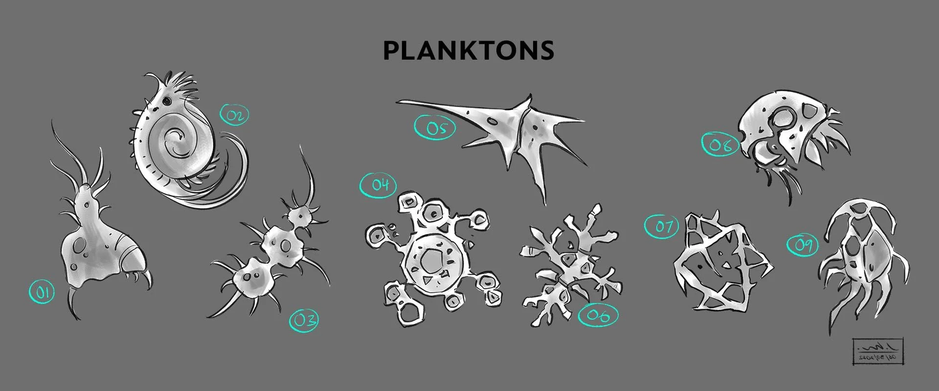 Planktons_Presentation.jpg