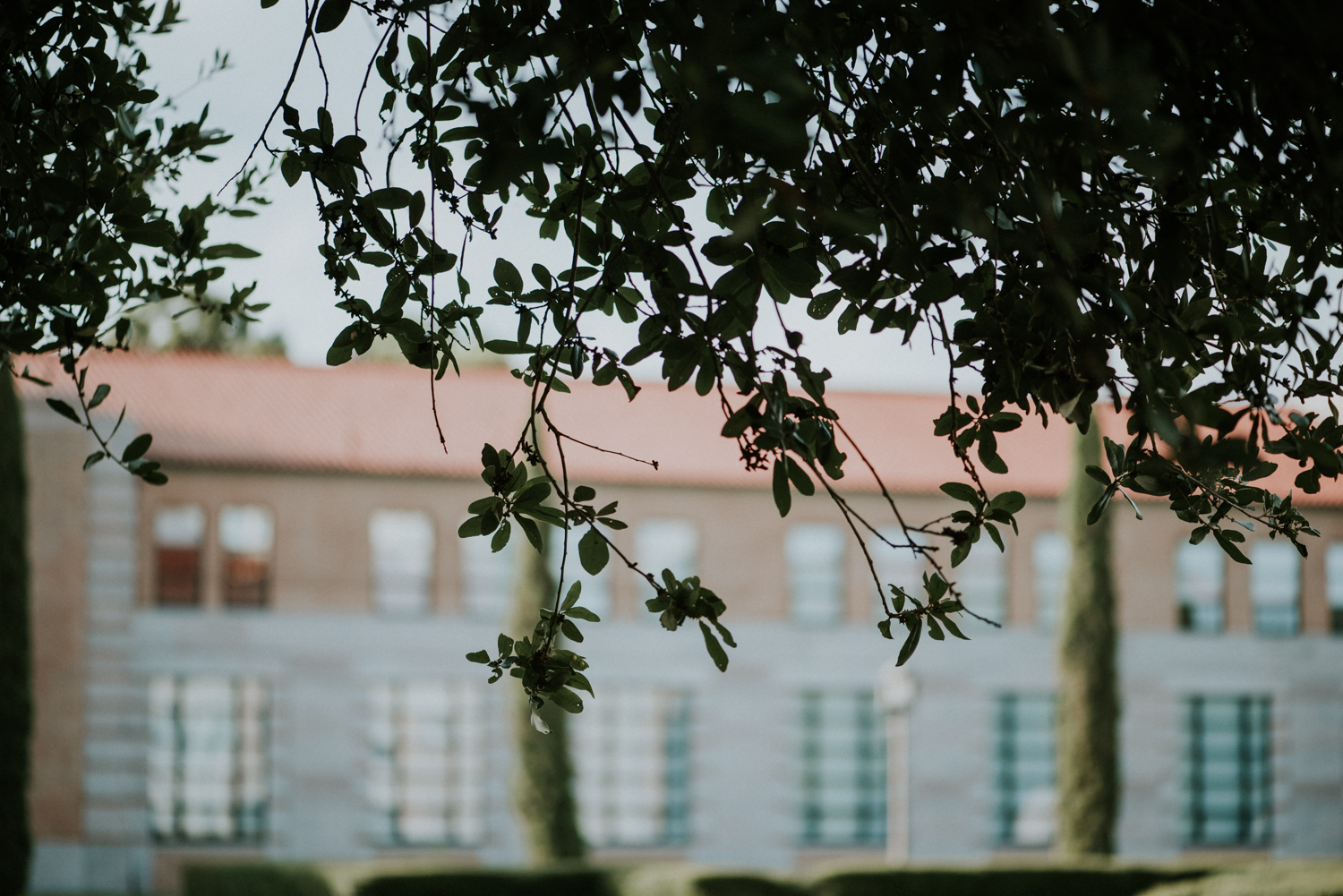 lillyanddavid-houstonengagementsession-riceuniversity-riceengagementsession-texasweddings-colombia-colombiaweddings-18.jpg