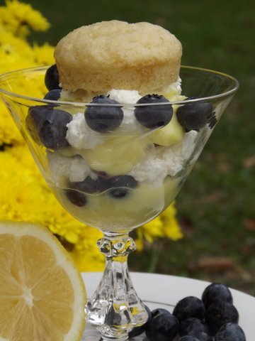 Lemon Blueberry White Bean Mini Muffin Parfaits1.JPG