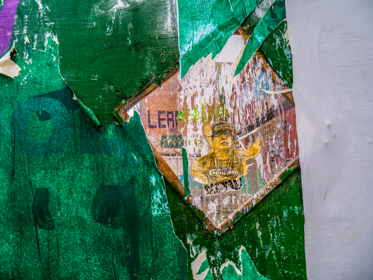 _1020155.jpg