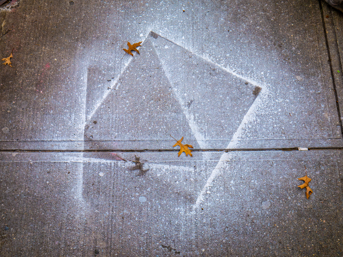 _1030909.jpg