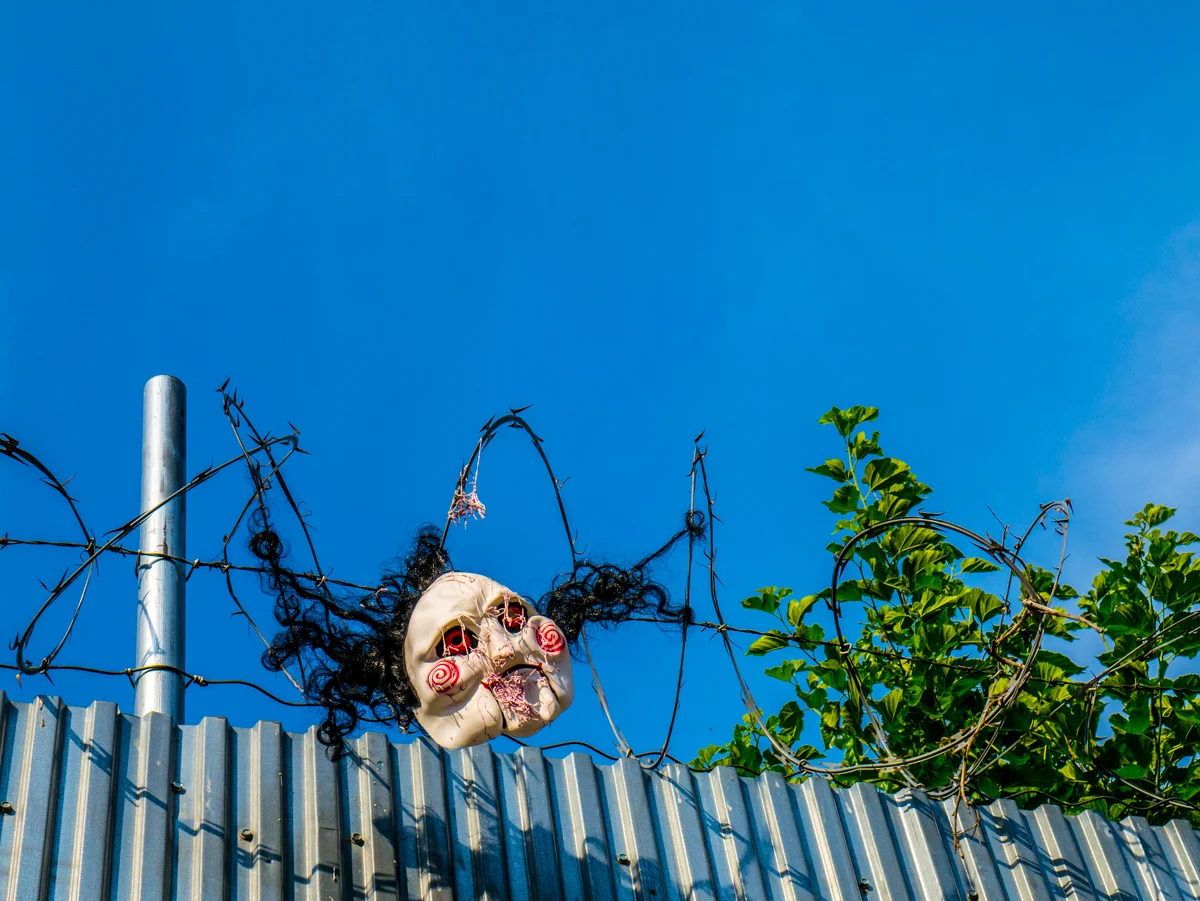 _1020654.jpg