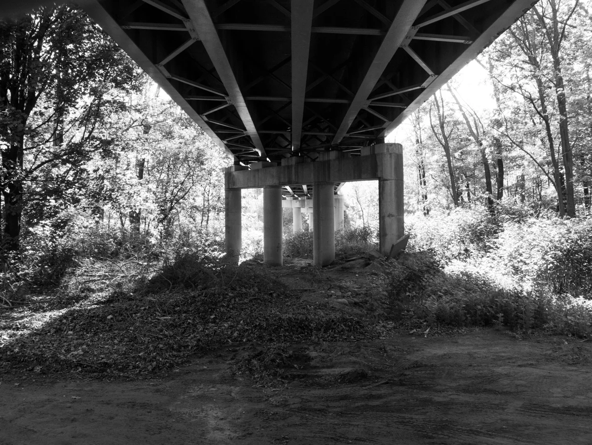 _1020330.jpg