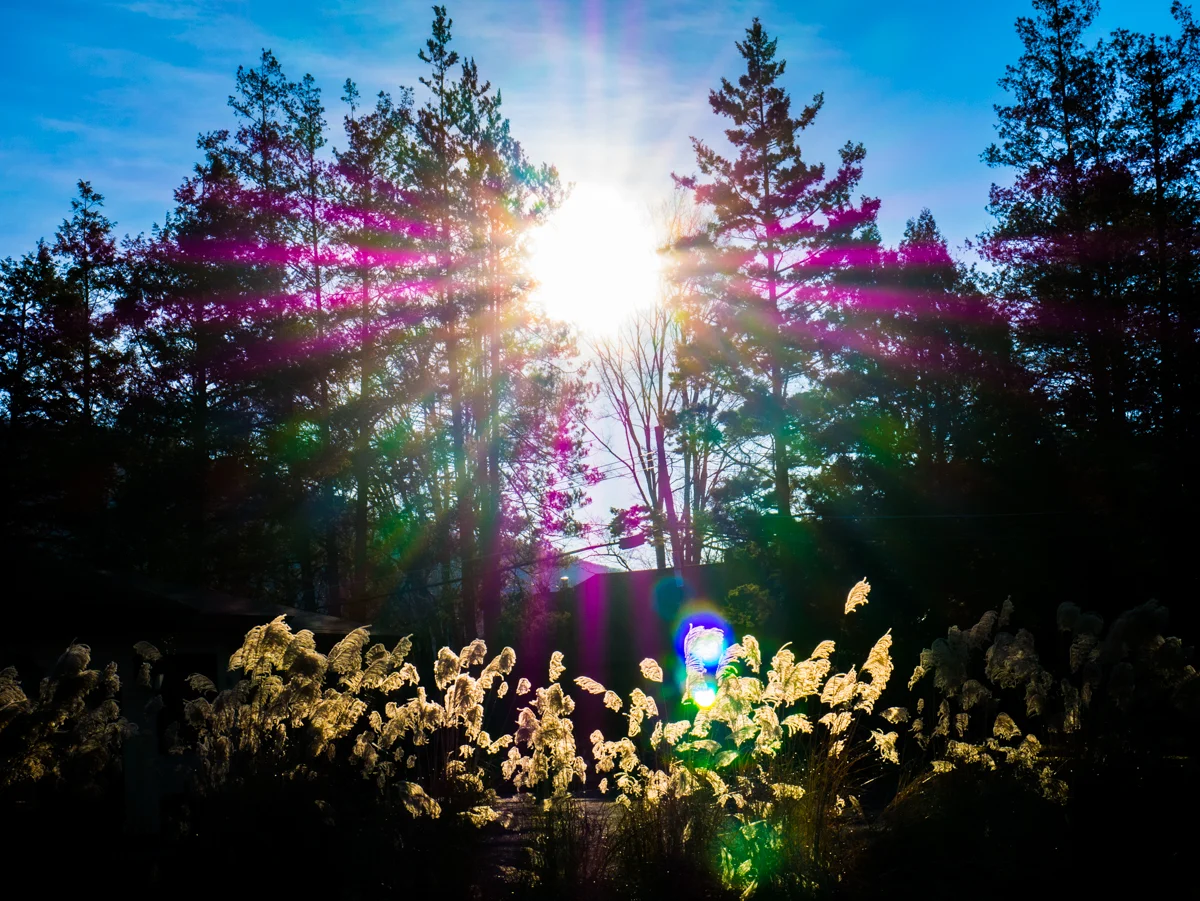 _1030856.jpg