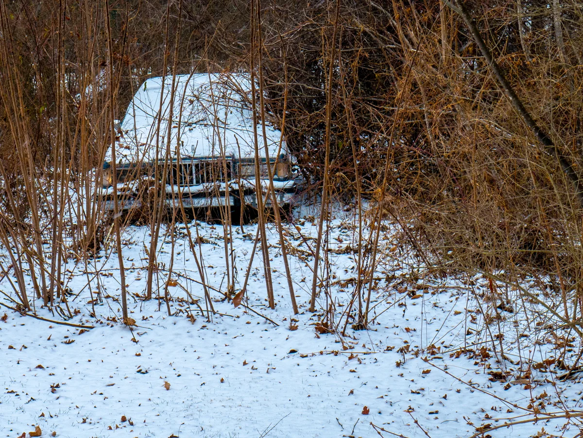 _1040127.jpg