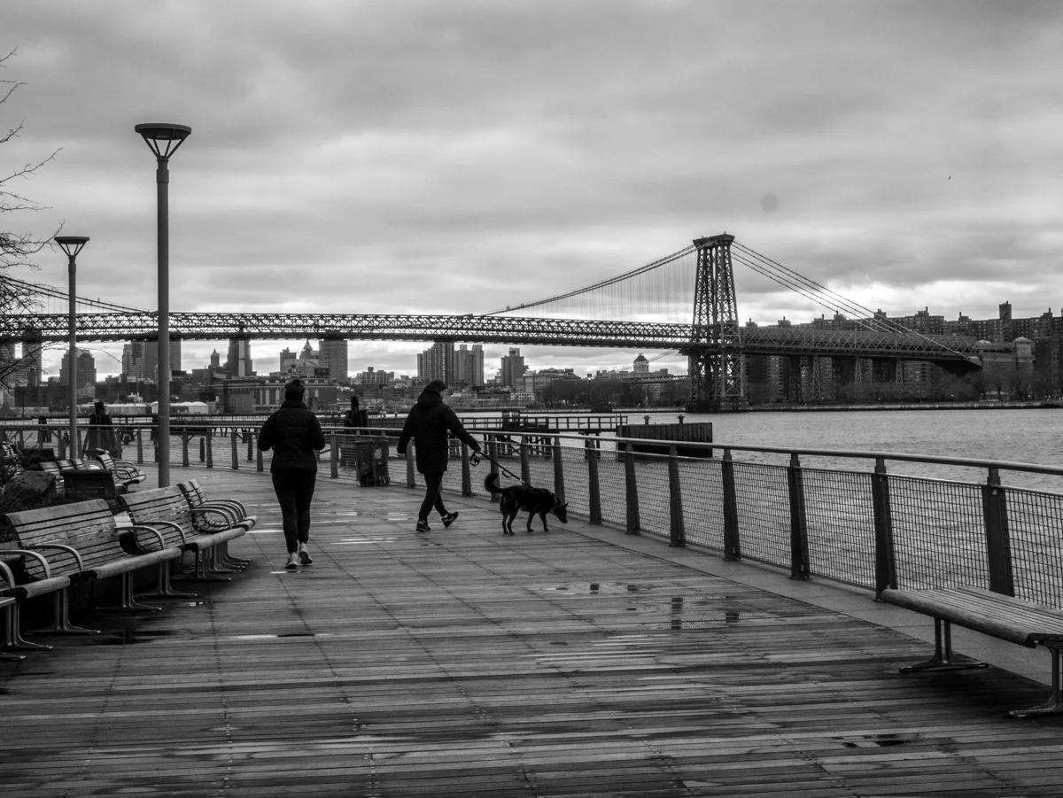 _1040350.jpg