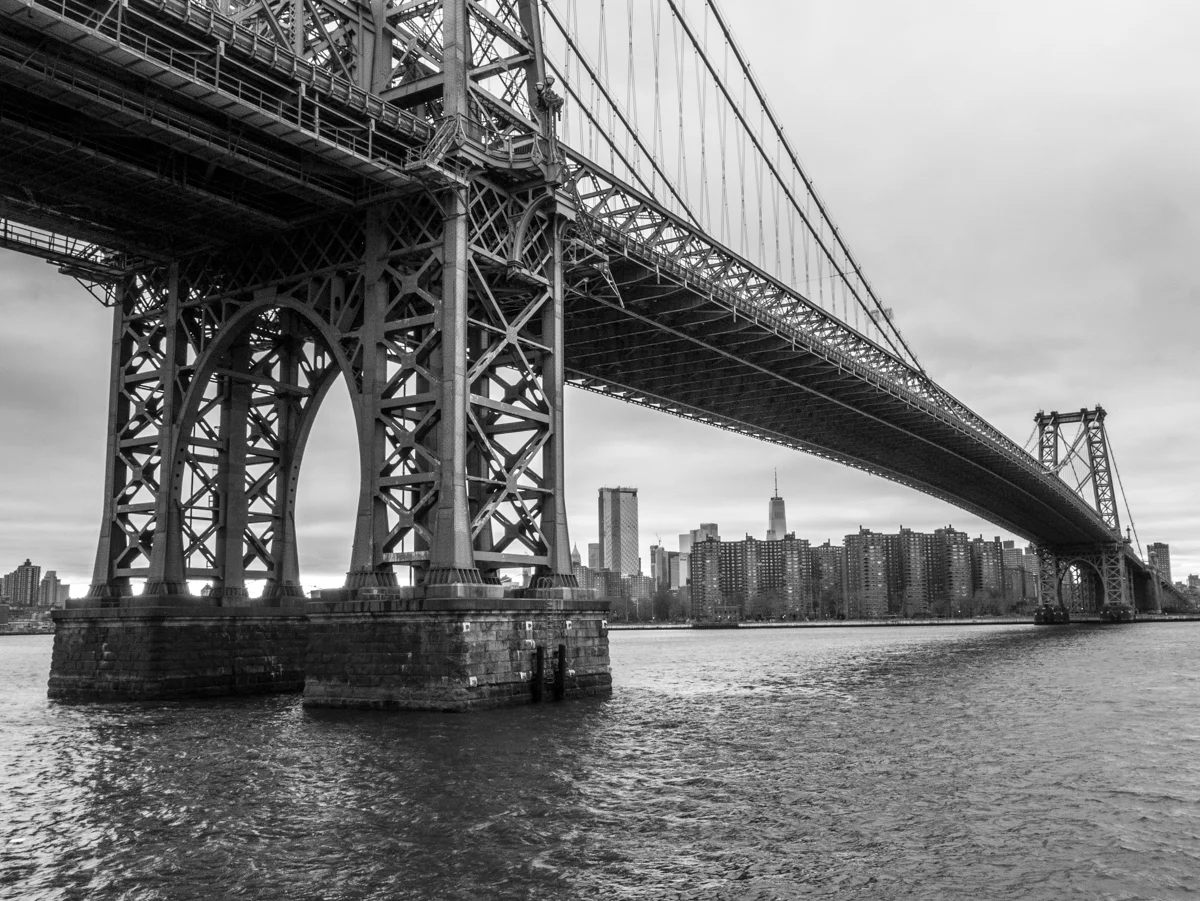 _1040359.jpg